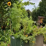 Apartment Zentral Gelegene Mit Grossem Garten *