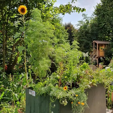 Apartment Zentral Gelegene Mit Grossem Garten *