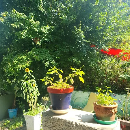 Appartement Zentral Gelegene Mit Grossem Garten *