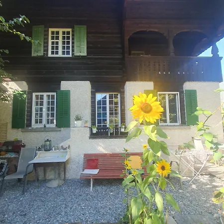 Appartement Zentral Gelegene Mit Grossem Garten